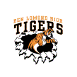 Mascot Design Template - Mascot Tigers
